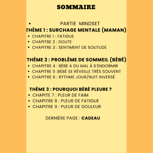 "Baby Program" E-book pour jeune maman